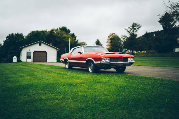Victorian Car Buyers Will Seriously Buy Any Car